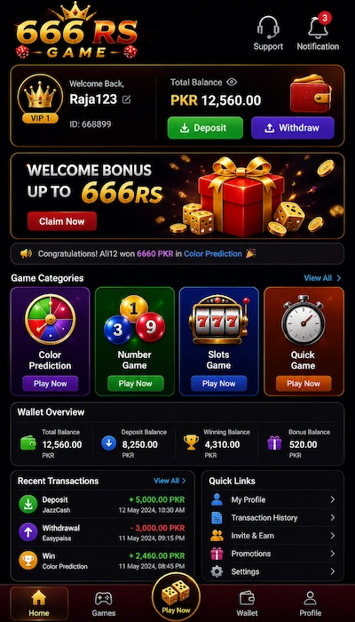 666RS Game Dashboard image